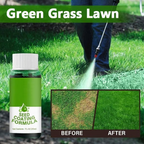 🔥Last Day Promotion🌱Hydro Seeding Lawn Solution