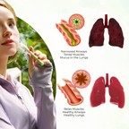 ✅Official Store-Blizkox™ Mullein Aroma Diffuser (🫁Cough, wheezing, shortness of breath, sputum, stuffy nose, bronchitis, bronchitis, allergy symptoms, lung discomfort💝)